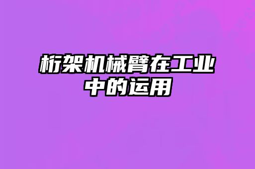 桁架機械臂在工業中的運用